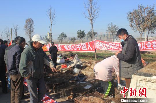 河南滎陽：“救狗僵持戰”持續四天 300余犬露天哀嚎