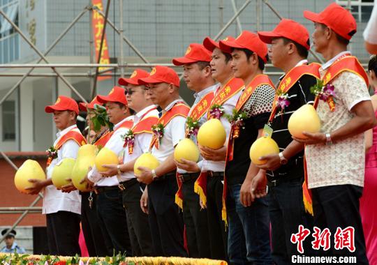 中國柚類第一縣再辦蜜柚節力拓海外市場（圖）